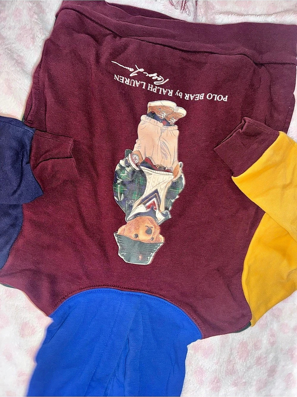Polo Ralph Lauren Color Block hoodie